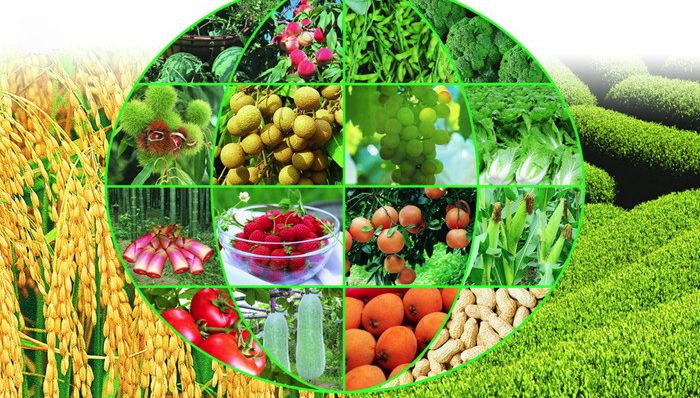 构建农产品追溯标准体系，为农业高质量发展筑牢安全基石