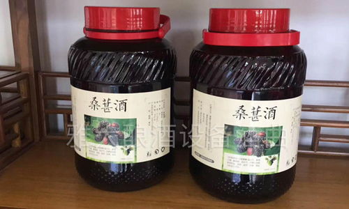 桑葚变身琼浆玉液，雅大设备助力湖北滞销农产品闯出新销路