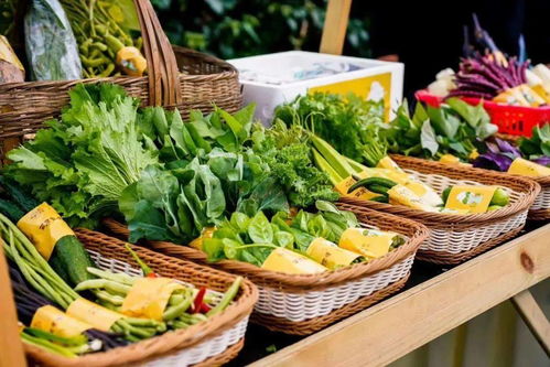 秋分 中秋与国庆之间的丰收节庆