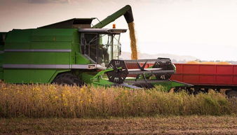 俄罗斯大豆对华出口创新高，折射中俄农业合作新动向