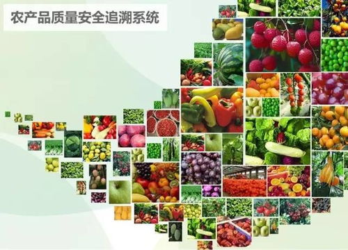 农产品质量安全新篇章 全国统一追溯体系助力“舌尖上的安全”