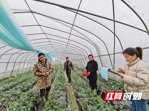 湘西州开展农产品抽检 牢牢守住群众“舌尖上的安全”