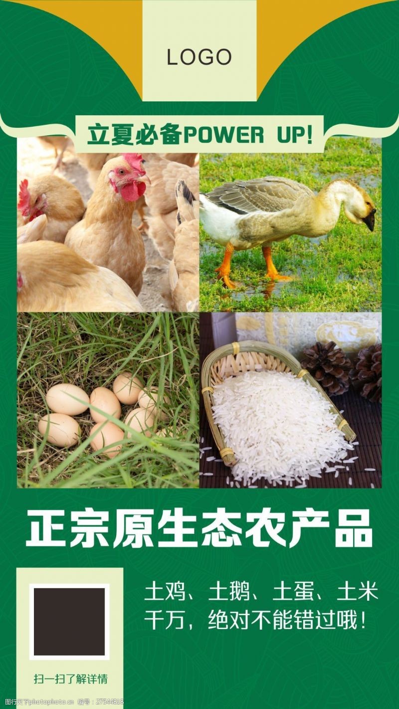 镜头下的田野馈赠 捕捉原生态农产品的自然之美