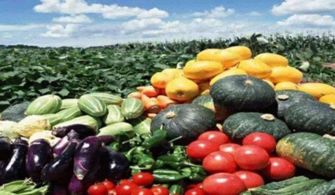 威海市农产品品牌建设成效显著，注册商标达4337件