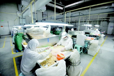 莱芜 打造全省新旧动能转换先行区，农产品产业焕发新活力