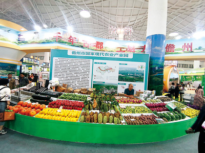 打造热带特色高效农业新高地——我市参加2019年中国(海南)国际热带农产品冬季交易会侧记